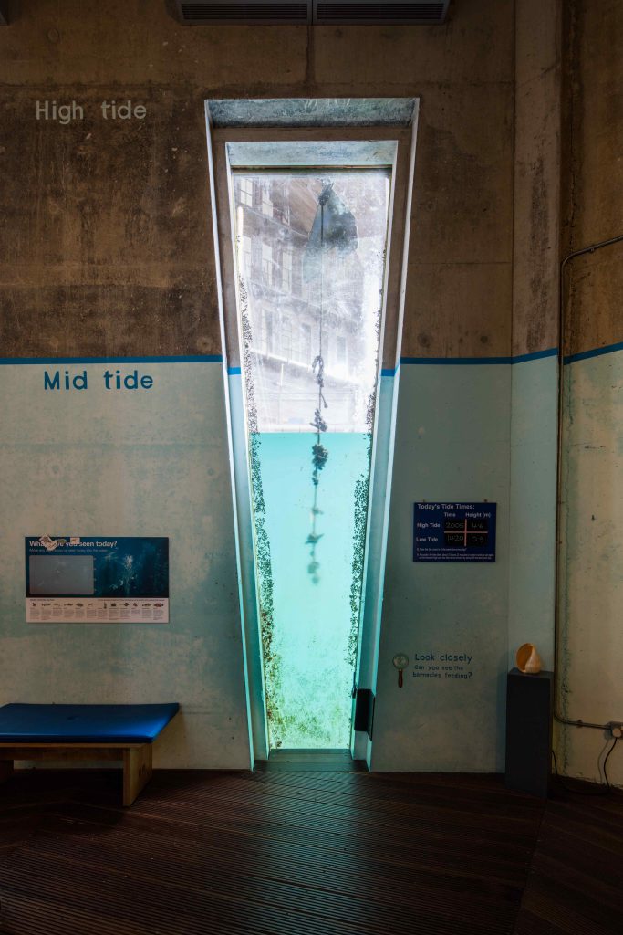 The Tidal Zone at The National Maritime Museum Cornwall. Photo by Luke Hayes